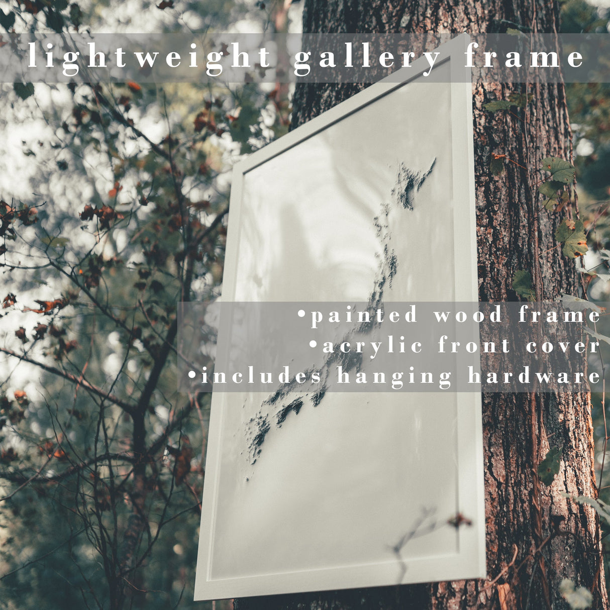 Appalachian Trail Elevation Map | 1981 Vintage Topographic Reproduction