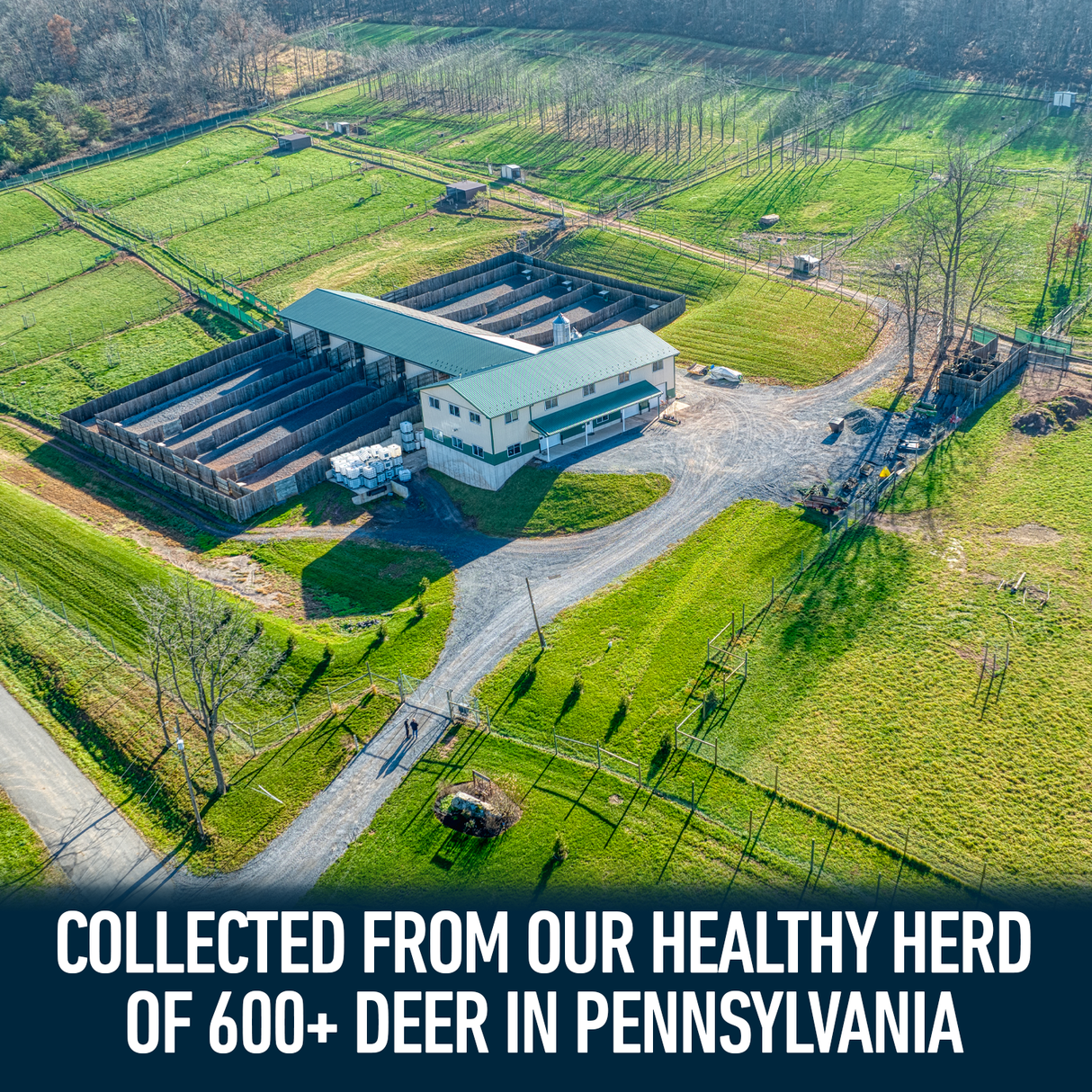 Deer Society Rut Package