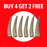 Small Antlers