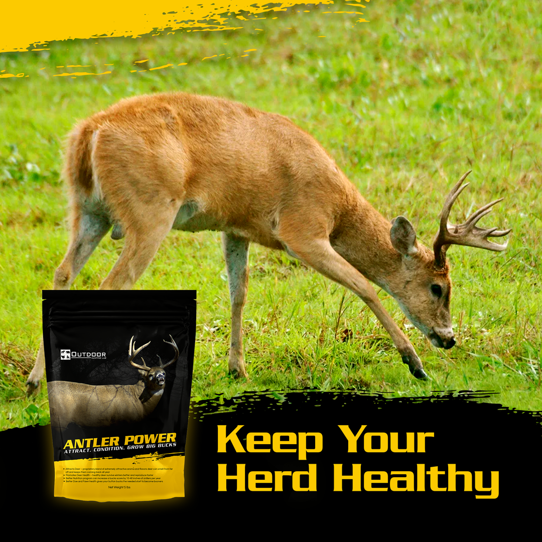Bulk Antler Power Deer Mineral