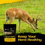 Bulk Antler Power Deer Mineral