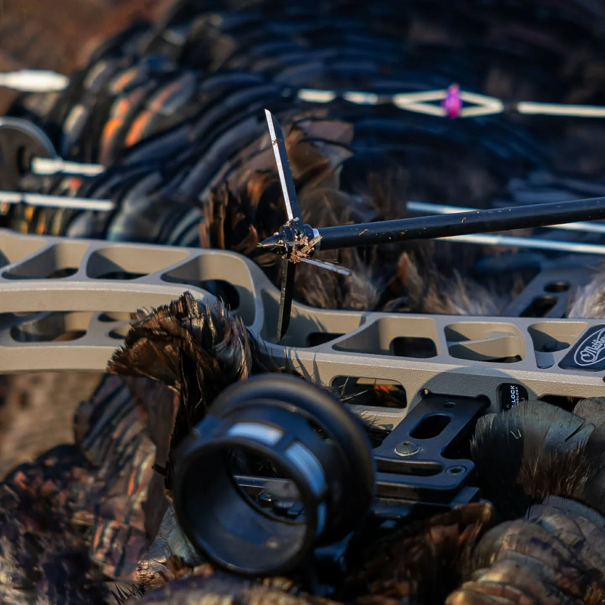 Bullhead 3-Blade Broadhead 3-Pack