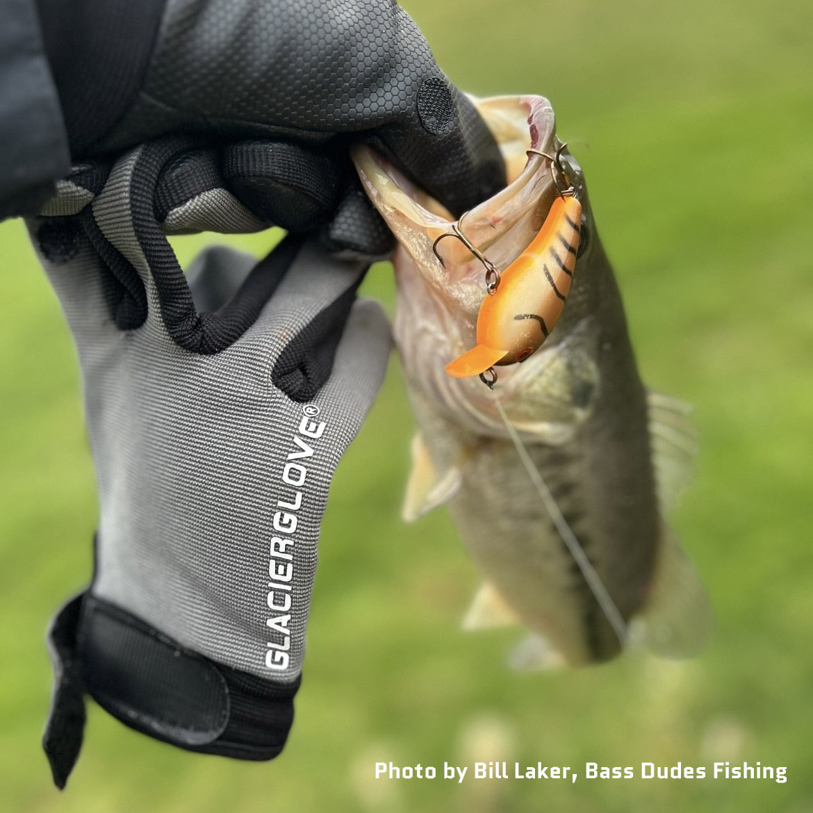 Elite Angler