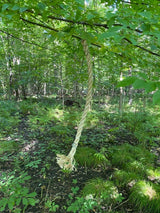 Scrape Rope