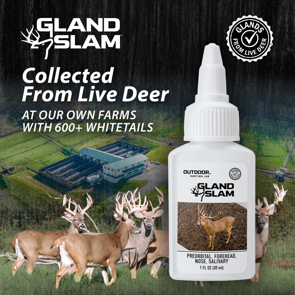 Gland Slam Rope Pack