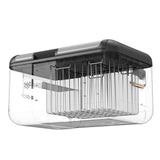 Rigel Basket