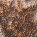 Western United States Elevation Map | 1950 Vintage Topographic Reproduction